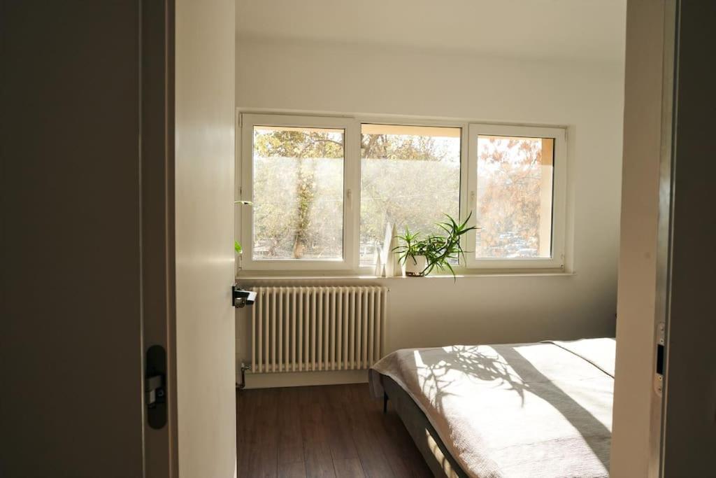 Ultracentral Two Rooms Apartment In 부쿠레슈티 외부 사진